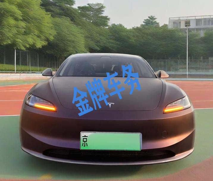 京牌特斯拉